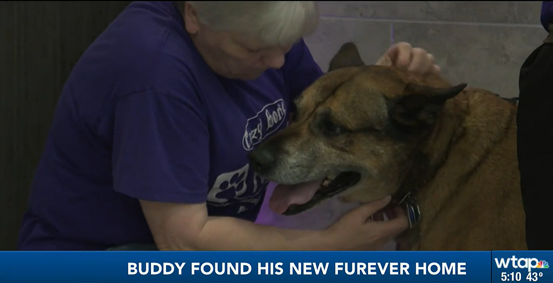 Buddy Found His Furever Home